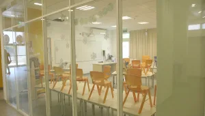 אחרי 6 שנים: האם ישראל הפיקה לקחים ממחאת הסרדינים?
