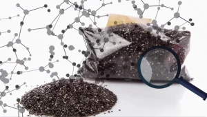 סוד הקסם הישראלי: צמח המנקאי פותח בארץ והפך לרווח של מליונים