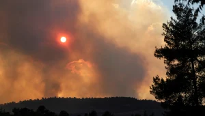 הערכה: השריפה בהרי ירושלים נגרמה כתוצאה מהצתה