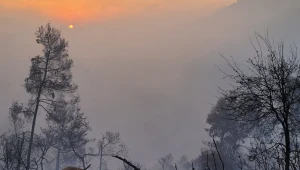 שריפת הענק בהרי ירושלים נמשכת: כוחות הכיבוי חזרו לפעול בשטח