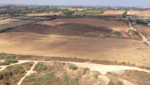 מה מסתירים מרוכשי הקרקעות החקלאיות שנמכרות במאות אלפי שקלים?