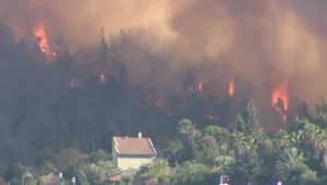 "התקרבנו לאסון של עשרות הרוגים": הנס של היישוב שבהרי ירושלים