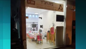 חסידי חב"ד המומים: פגר חזיר הונח בפתח בית מדרש בראשון לציון