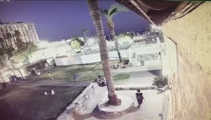 ריאיון עם בנה של אנה רימבורג בת ה-66 שנהרגה מקריסת עץ בטבריה