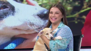 "כלבים הם כמו בני אדם בעיני, זה נושא שמאוד נוגע לליבי": טל טלמון על פעילותה למען הכלבים ב-SOS חיות