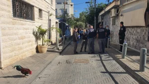 7 חודשים לאחר הרצח: אחים למשפחה ביפו נעצרו