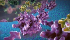 חוקרים מצאו: חיידק טבעי שעשוי לחולל מהפכה בעולם הדיאטות