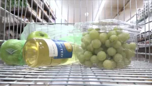 כמה יעלה סל פיקניק שכולל יין, גבינות ולחם בישראל לעומת העולם