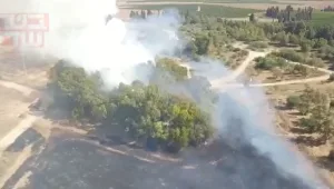 עוטף עזה: פרצו שלוש שריפות שנגרמו מבלוני תבערה