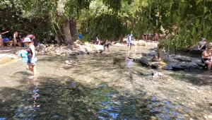 מטיילים ונבדקים: עומסים חריגים במתחמי בדיקות ובגנים הלאומיים