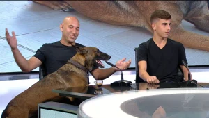 שנה חדשה: הכלב ברי אבד לפני שנה בעומר ונמצא השבוע ביבנה