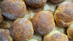 "רכות כמו הלחם של מרקו": איך משיגים הלחמניות שמשגעות את ת"א?