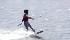 שנה חדשה - חוגים חדשים לילדים: אילוף כלבים ואסטרונומיה