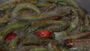 טרנד המעדניות היהודיות: האוכל שכובש את ישראל