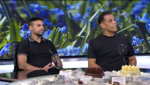 יש מומחה באולפן: כל הפיתרונות לבעיות של דלילות בשיער