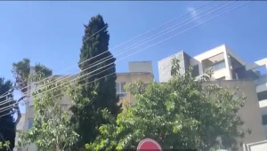 כבאים הוזעקו לחלץ ילד - שנתקע על עץ בגובה 20 מטר