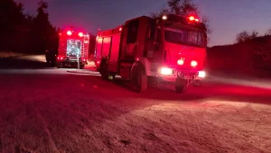 שריפה משתוללת בהרי ירושלים - אישה כבת 30 נעצרה בחשד להצתה