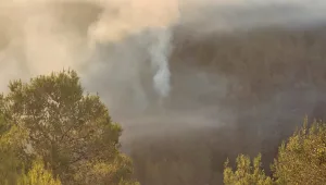 התחדשה השריפה בהרי ירושלים - גובר החשד להצתה