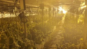 "15 מיליון שקל": מעבדת הידרו בגודל דונם וחצי נמצאה במנהרה