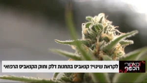 לקראת שינוי? קנאביס בתחנות דלק וחוק הקנאביס הרפואי