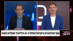 ענף השיפוצים בישראל מגלגל כ-15 מיליארד שקלים בשנה