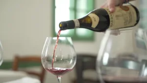 ארוחות הטעימות השוות: עשרות מנות על השולחן מאורגני ועד יפני