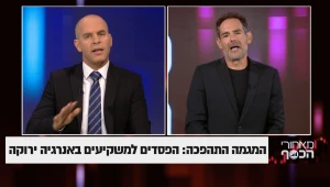 המגמה התהפכה: הפסדים למשקיעים באנרגיה ירוקה