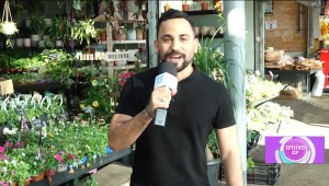 מה צריך להיות האקס פקטור של הנציג הישראלי הבא לאירוויזיון?