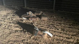 300 ק"ג סמים בשווי 6 מיליון שקלים: צה"ל סיכל הברחה בדרום
