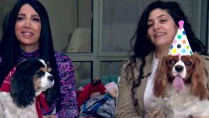 חיי כלב – גרסת 2021: הכלבים בישראל שחיים בעשירון העליון