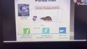 "הנה הערבי המסריח": סטודנטית קיללה סטודנט בדואי בהרצאת זום