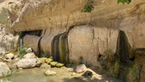 חם בחוץ, מרענן בפנים: טיולי מעיינות שווים גם בחורף