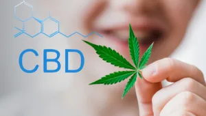 למי לא מתאים הטיפול בקנאביס רפואי?