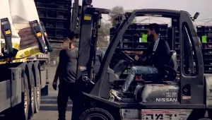 החקלאים שהתייאשו מהמשטרה והקימו חמ"ל תצפיתניות פרטי