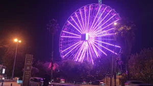 פרויקט לילה סגול חוזר - למען שילוב אנשים עם מוגבלות