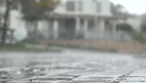 מדינה עם טישו: גל המצוננים הבלתי נגמר - רגע לפני שהגשם חוזר