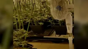 58 ק"ג של סמים נתפסו בדירה בבת ים - שני חשודים נעצרו