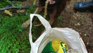 שלושה מטעני חבלה מאולתרים נתפסו סמוך לירושלים