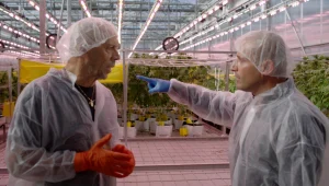 חוד החנית של מחקר הקנאביס בישראל