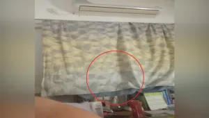 המציצן הסדרתי במרכז הארץ שב לפעולה