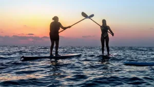 swell ישראל - הרבה מעבר לבית ספר לגלישה!