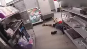 תיעוד בלתי נתפס: פדופיל תוקף נערות בקניון ונורה למוות