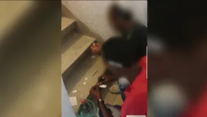 קשישה בת 75 מוכרת סמים בדירה בבניין מגורים - התושבים חסרי אונים