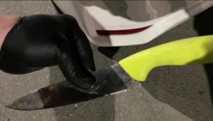 בן 44 הכה, דקר וכלא את אימו בת ה-76