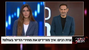 צרת רבים: איך מורידים את מחירי הדיור בעולם?