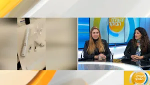 הוחבאו בתוך מזוזות - מי מעוניין להבריח נמלים לסין?