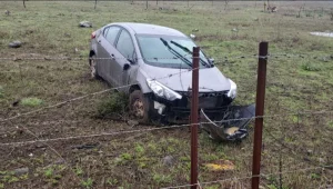 חזיר הגיח בפתאומיות לכביש - ורמזי החליק עם רכבו לתוך שדה מוקשים