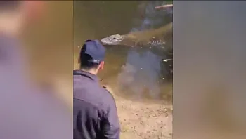 נגמר בנס: תיעד את עצמו בכלוב התנינים בספארי והעלה לרשתות