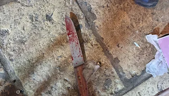 פיגוע דקירה בכניסה להר הבית: שני שוטרים נפצעו בינוני, המחבל נוטרל • תיעוד