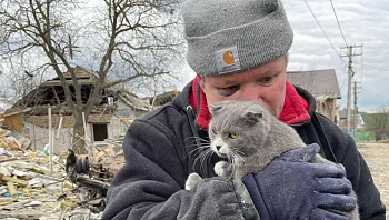המלחמה בתמונות: בעלי החיים שנמלטו עם הפליטים - ואלה שננטשו